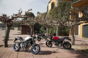 nuova moto gruppo Suzuki SV650 Abs franzrusso.it 2016