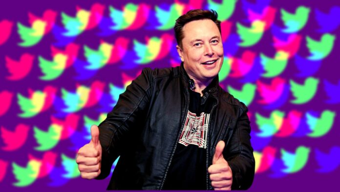 elon musk futuro twitter