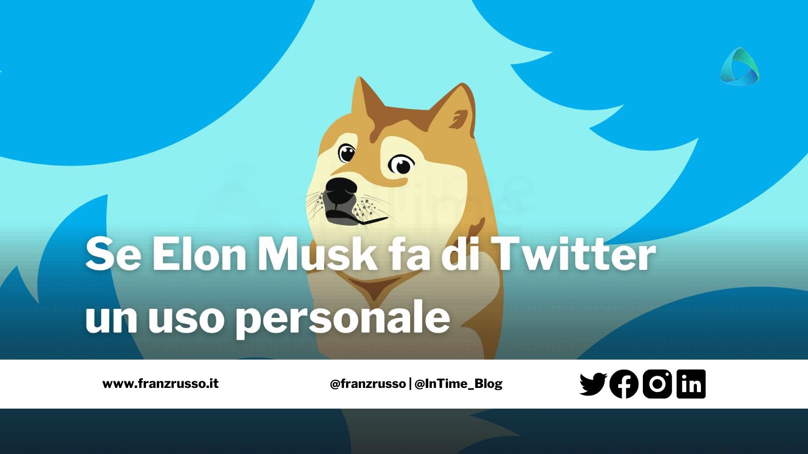 elon musk twitter doge coin franzrusso.it